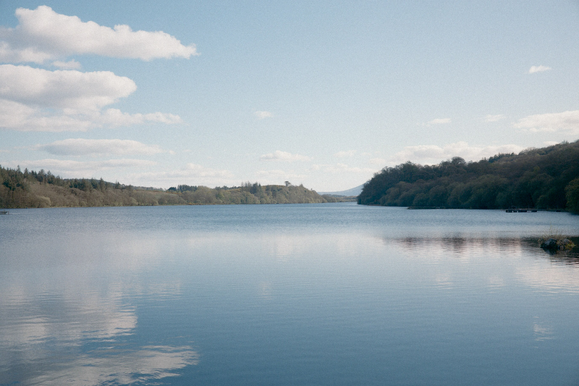 Nick Halstead Web Services